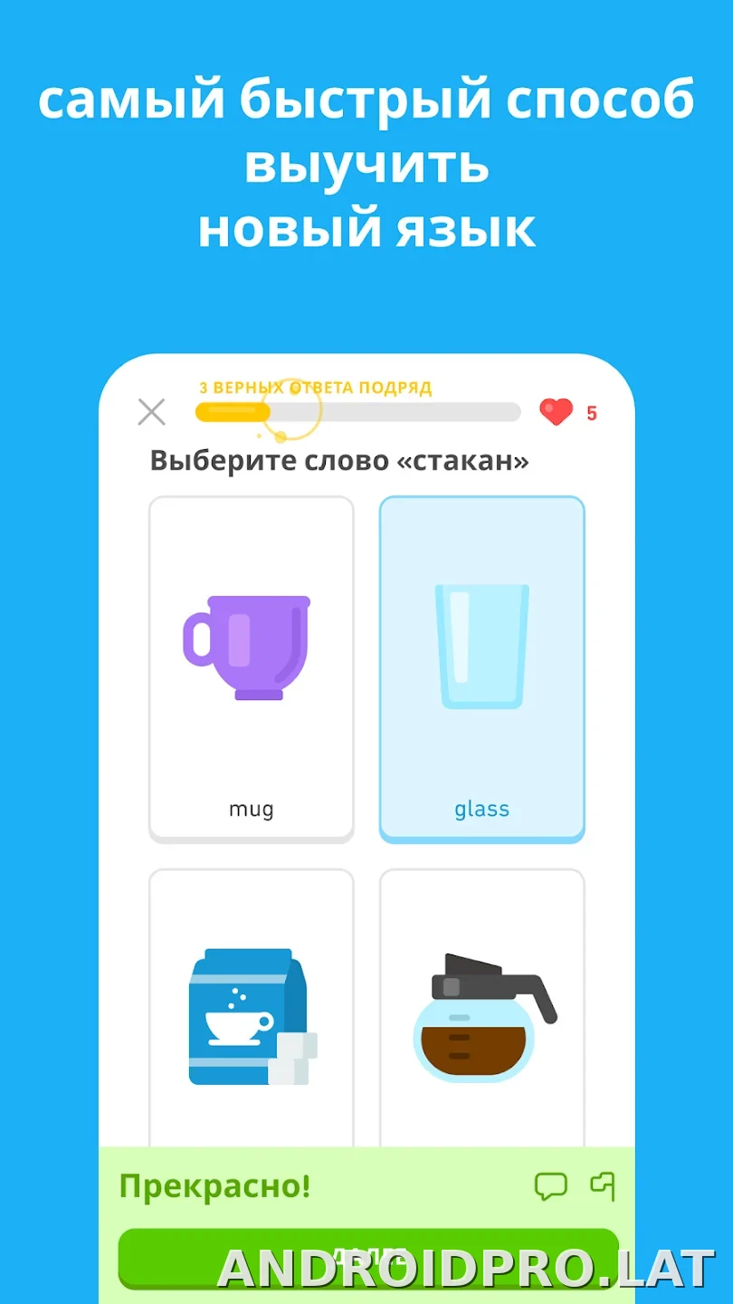 Дуолинго скриншот 5